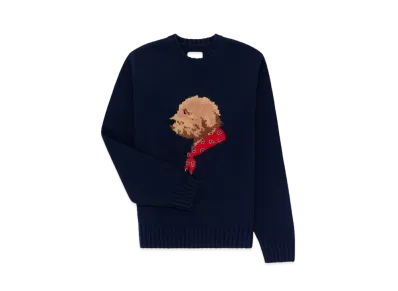 Aime Leon Dore Collegiate Buddy Knit Sweate "Blue"