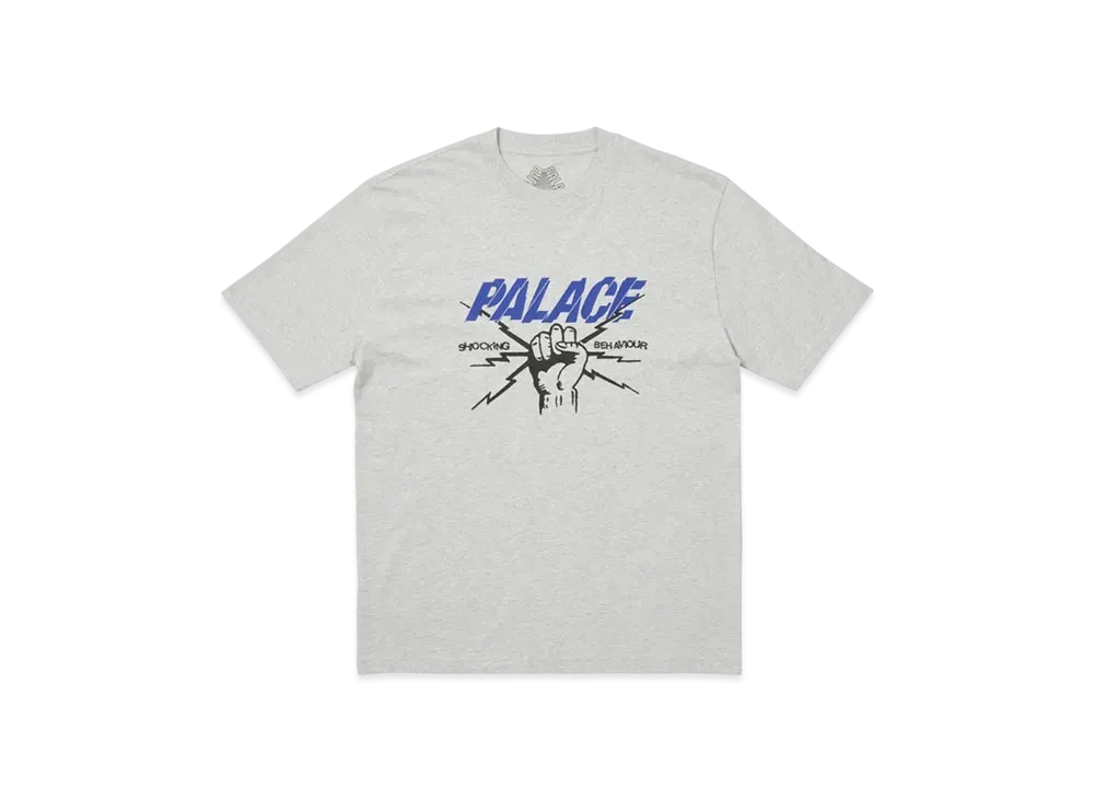 PALACE Shocking Behaviour T-Shirt "Gray Marl"