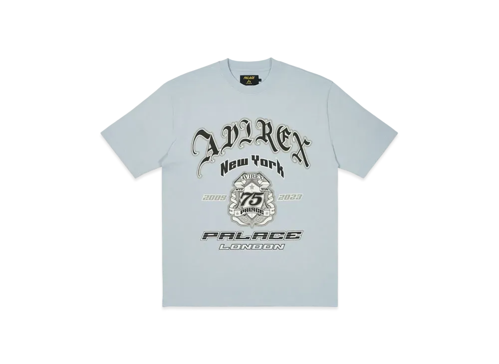 PALACE Avirex T-Shirt "Chill Blue"