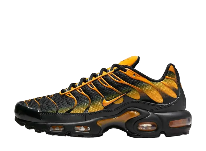 ナイキ エアマックスプラス "サンディアル"