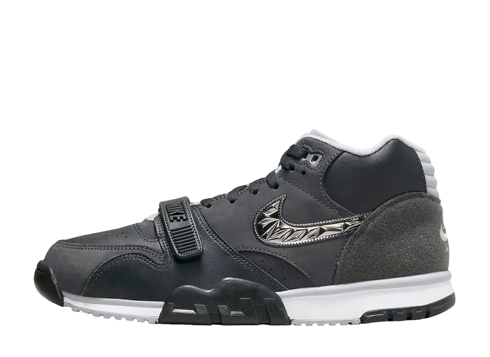 ナイキ エアトレーナー1 スーパーボウル58 "アンスラサイト"