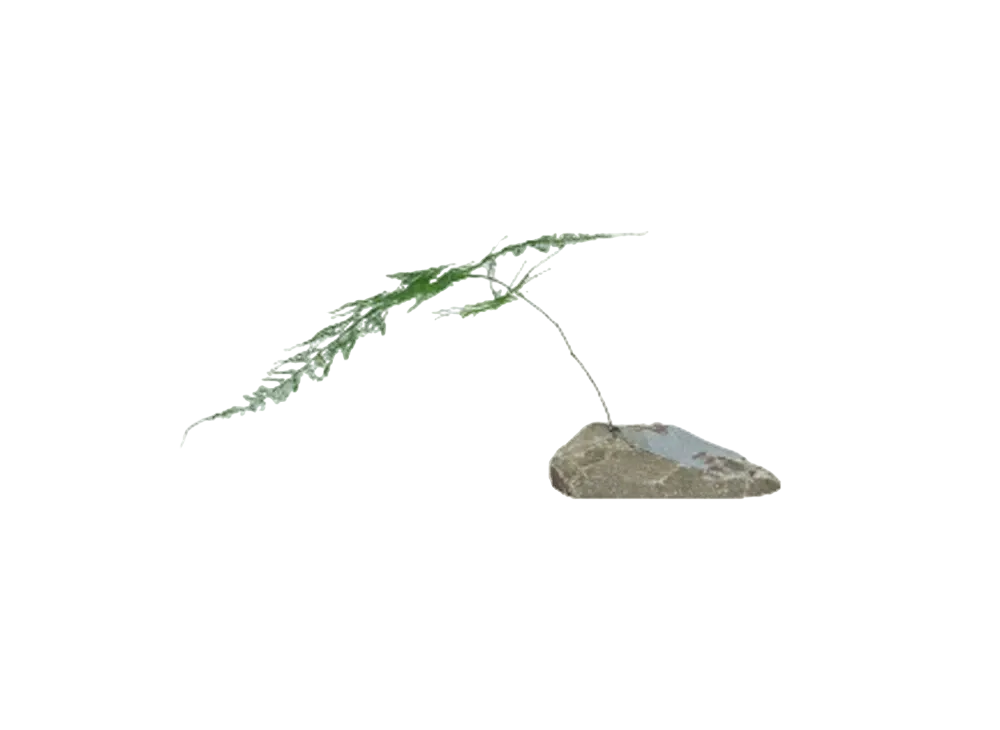 5450 THE PRODUCTS RIN "GRAY"