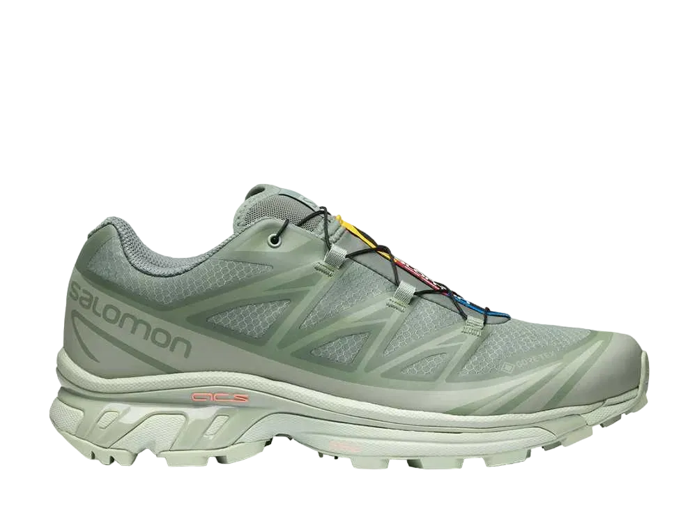 Salomon XT-6 GORE-TEX "Laurel Wreath"