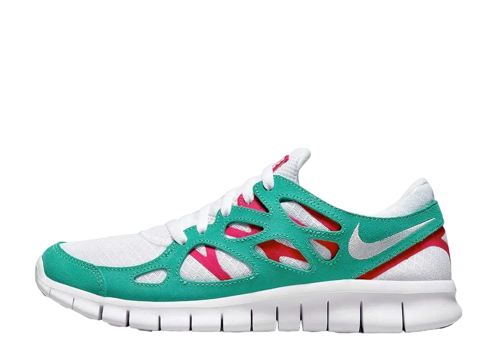 ナイキ フリー ラン2 "ホワイト/ウォッシュドティール"