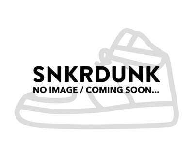 Nike Air Jordan 12 "Black/Wolf Grey"