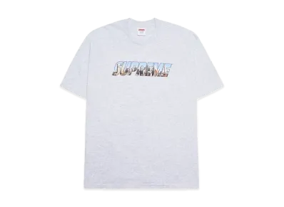 Supreme Gotham Tee "Ash Grey"