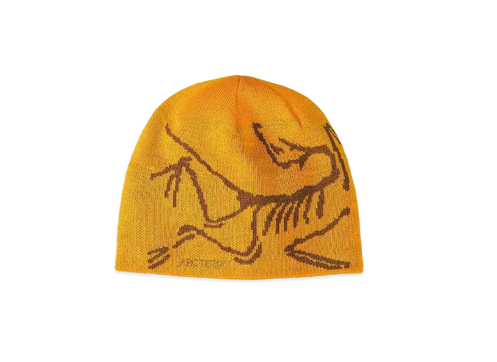 ARC'TERYX Bird Head Toque "Eziza/Relic" X000006756