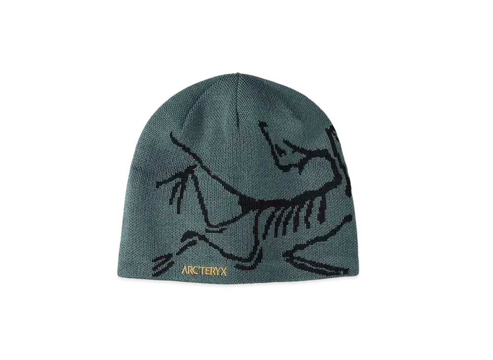 ARC'TERYX Bird Head Toque "Dark Magic" X000006756