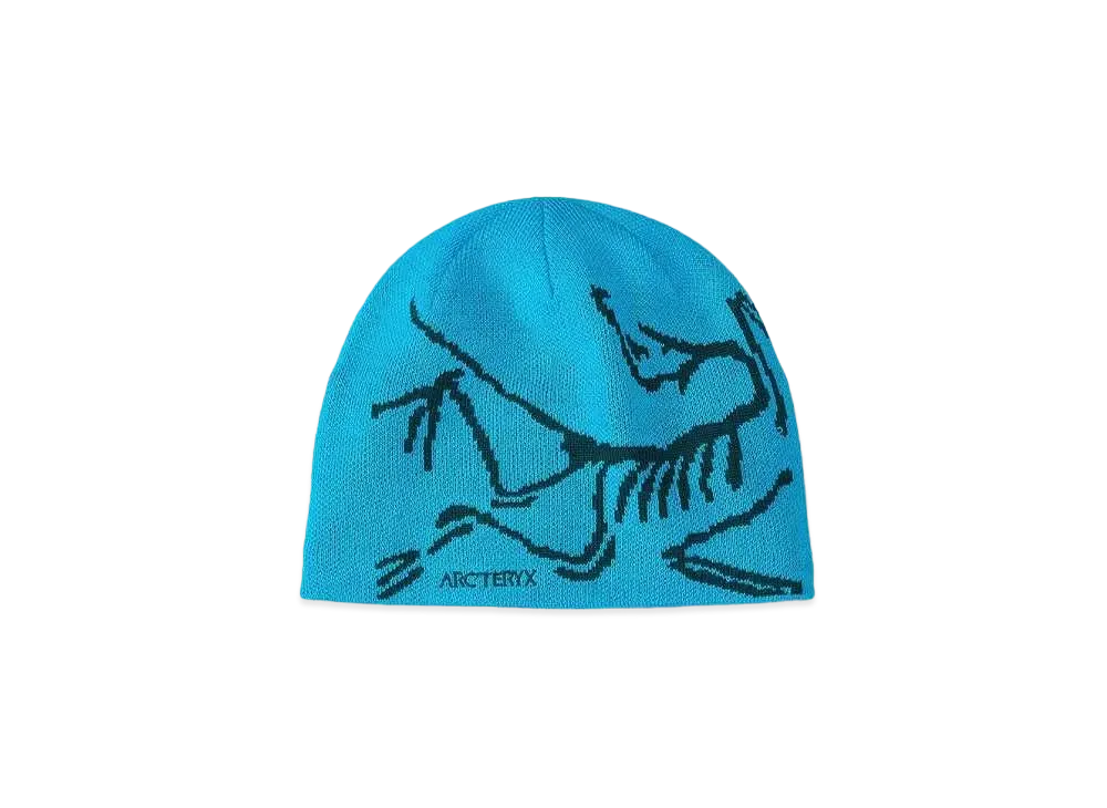 ARC'TERYX Bird Head Toque "Blue Tetra/Pytheas" X000006756