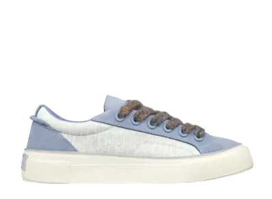 Dior B33 Sneaker "Gray/White"