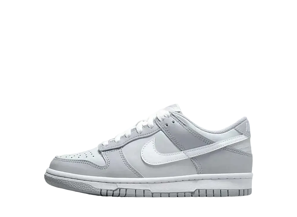 ナイキ GS ダンク ロー "ツートン グレー"