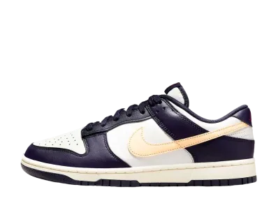 ナイキ ダンク ロー "フロム ナイキ トゥ ユー"