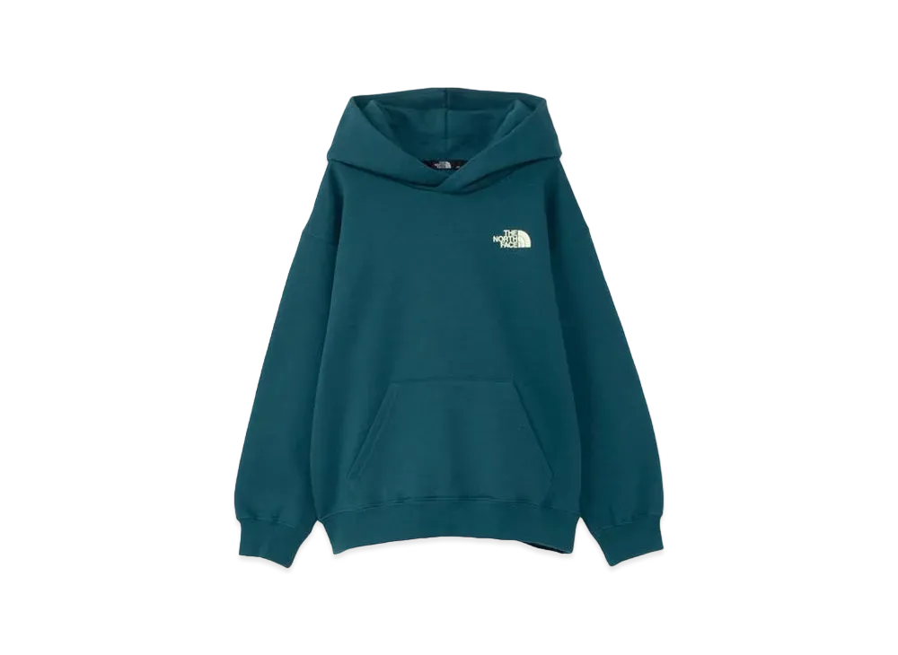 The North Face Never Stop Ing Hoodie Kids "AD Green"