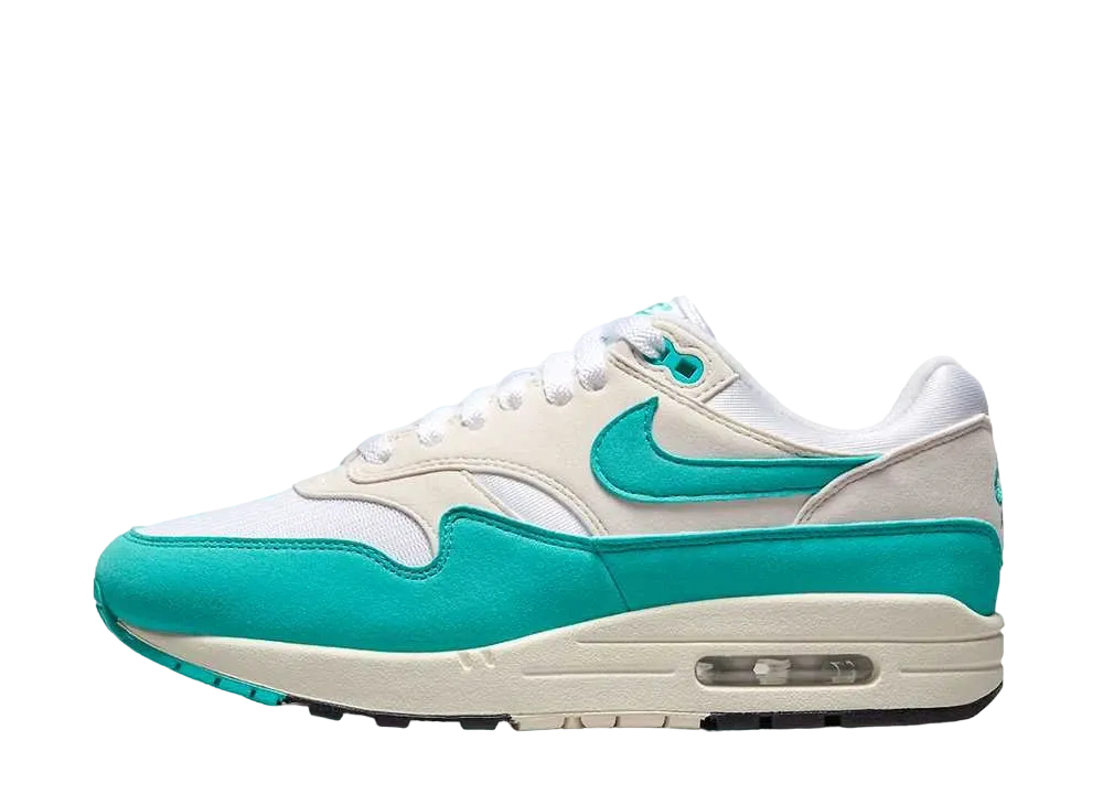 ナイキ ウィメンズ エアマックス1 "ダスティーカクタス"