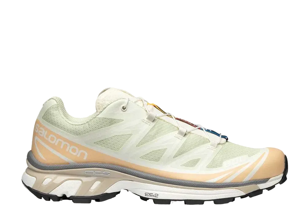サロモン XT-6 "アロエウォッシュ/ヘーゼルナッツ/フェザーグレー"