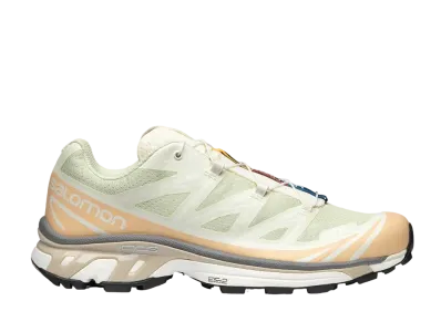 Salomon XT-6 "Aloe Wash/Hazelnut/Feather Gray"