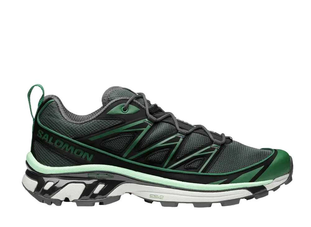 Salomon XT-6 Expanse "Eden/Black/Metal"