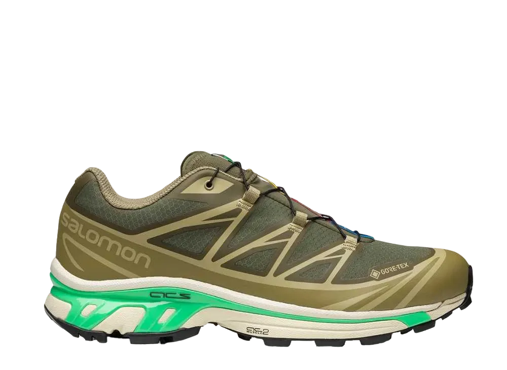 Salomon XT-6 GORE-TEX "Olive Night/Dried Herb/Almond Milk"
