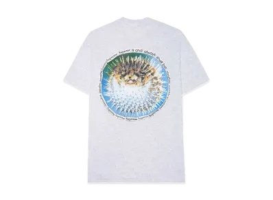 Supreme Blowfish Tee "Ash Grey"