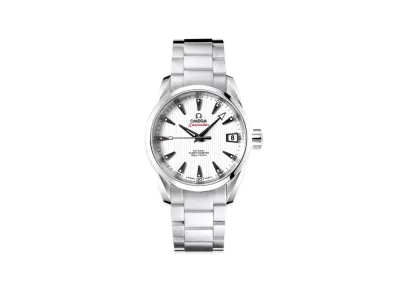 OMEGA Seamaster Aqua Terra Chronometer Co-Axial "White" 231.10.39.21.54.001