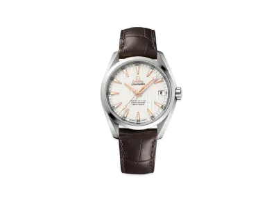 OMEGA Seamaster Aqua Terra Master Co-Axial Chronometer "Silver" 231.13.39.21.02.003