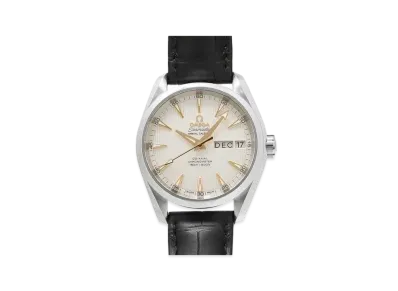 OMEGA Seamaster Aqua Terra Chronometer Annual Calendar "Silver" 231.13.39.22.02.001