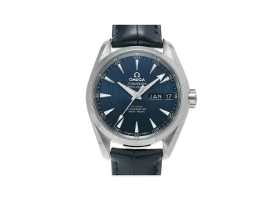 OMEGA Seamaster Aqua Terra 231.13.39.22.03.001