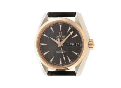 OMEGA Co-Axial Chronometer 231.23.39.22.06.001