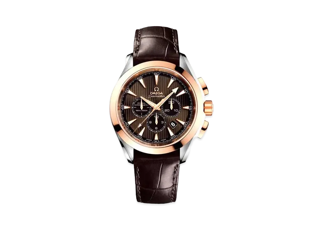 OMEGA Seamaster Aqua Terra Chronograph Co-Axial "Gray" 231.23.44.50.06.001