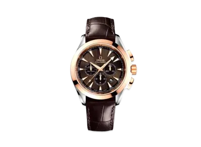 OMEGA Seamaster Aqua Terra Chronograph Co-Axial "Gray" 231.23.44.50.06.001