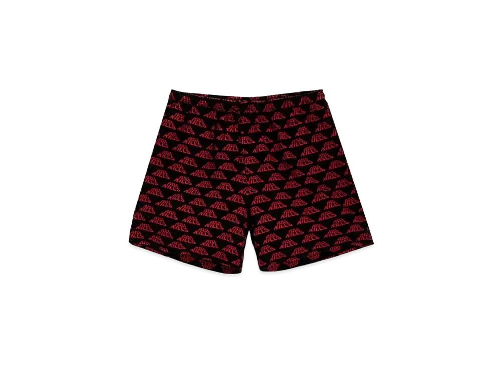 GALLERY DEPT. Awesome Atk Shorts "Black"