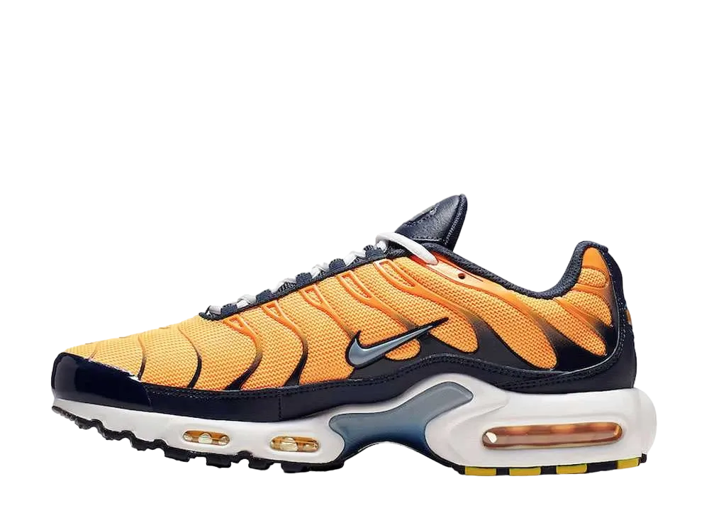 Nike Air Max Plus "Obsidian/Orange Blaze"