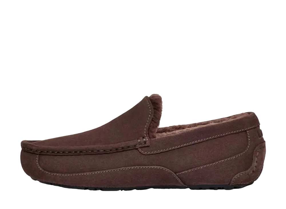 アグ アスコット "ダステッドココア"