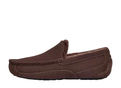 UGG Ascot "Dusted Cocoa"