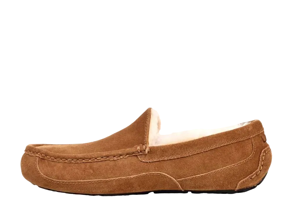 アグ アスコット "チェストナット"