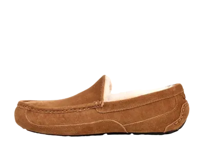 UGG Ascot "Chestnut"