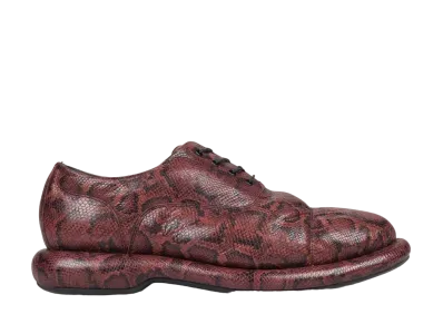 Martine Rose × Clarks Oxford "Brown Snake"