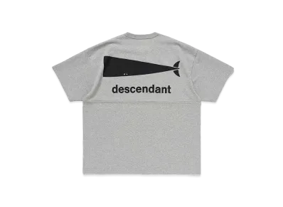 DESCENDANT Cachalot Berth SS "Gray"