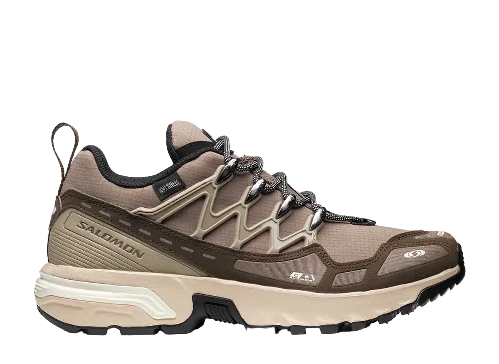 サロモン ACS + CSWP "ファルコン/セメント/バニラアイス"