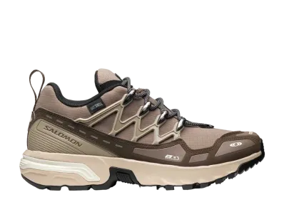 Salomon ACS + CSWP "Falcon/Cement/Vanilla Ice"