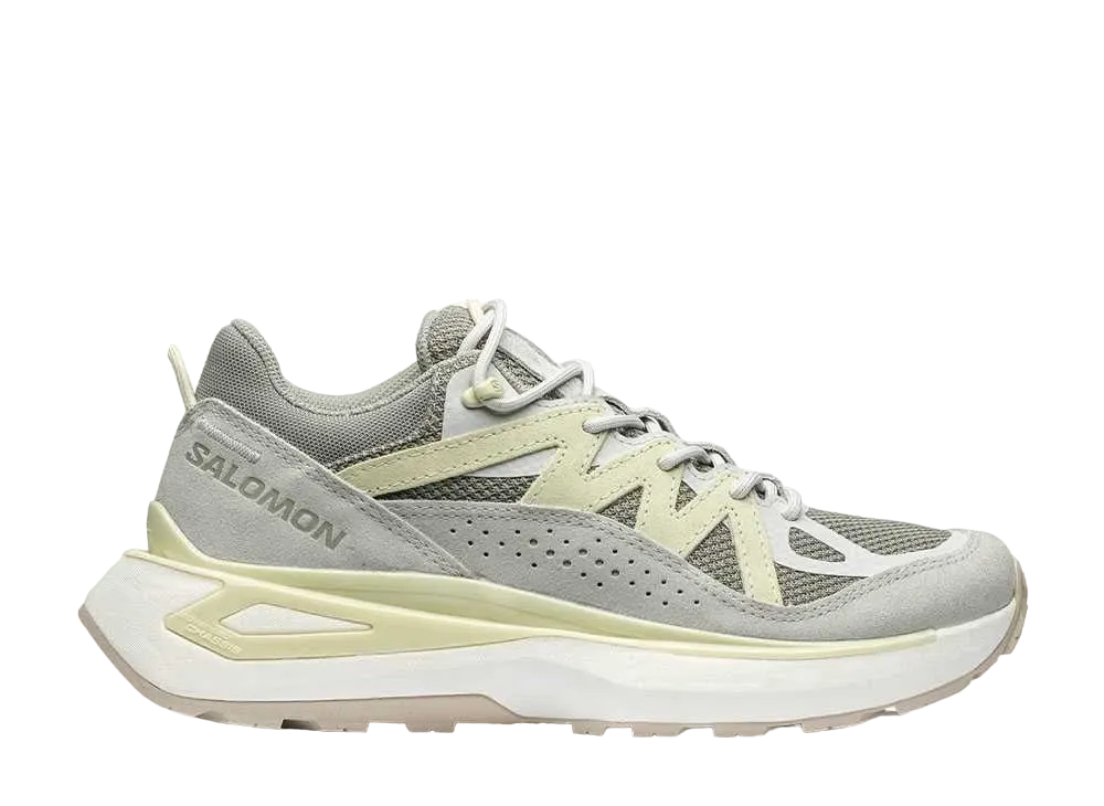 Salomon Odyssey ELMT Low "Shadow/Metal/Aloe Wash"