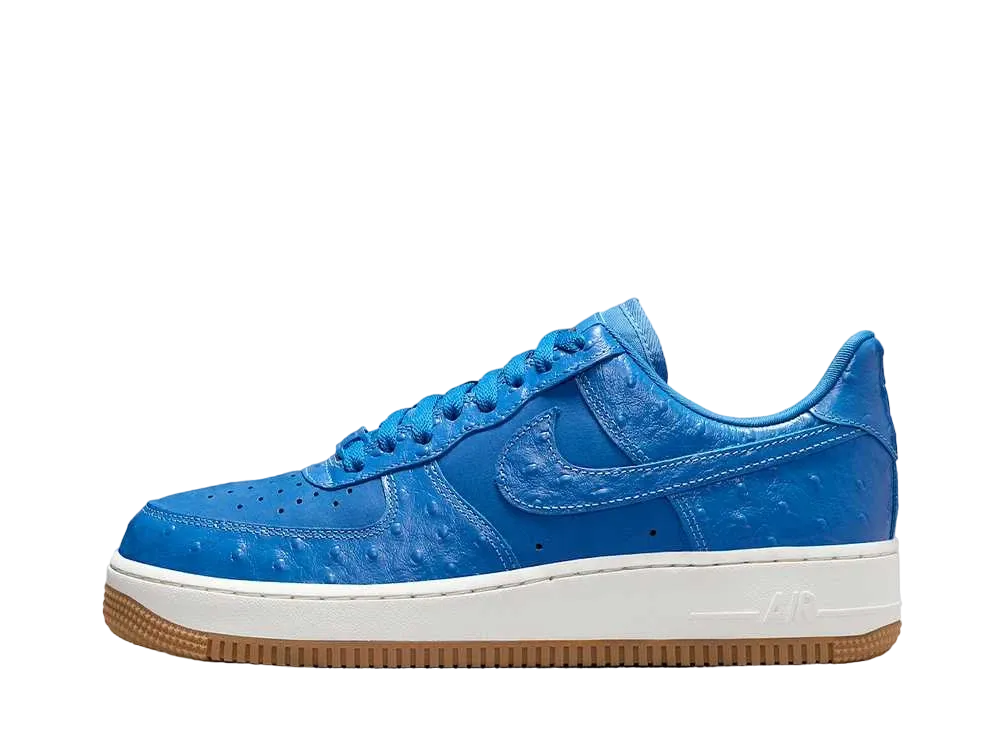 ナイキ ウィメンズ エアフォース1 ロー '07 LX "ブルーオストリッチ"