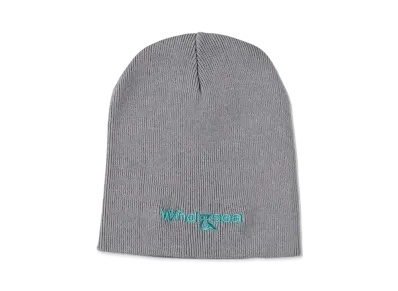 WIND AND SEA Diamond Max Beanie "Gray"