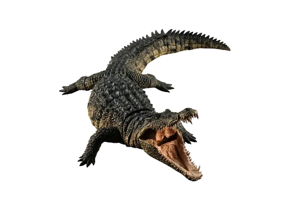 BANDAI "Wildlife Large Book Ultimate" Nile Crocodile