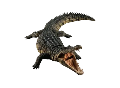 BANDAI "Wildlife Large Book Ultimate" Nile Crocodile