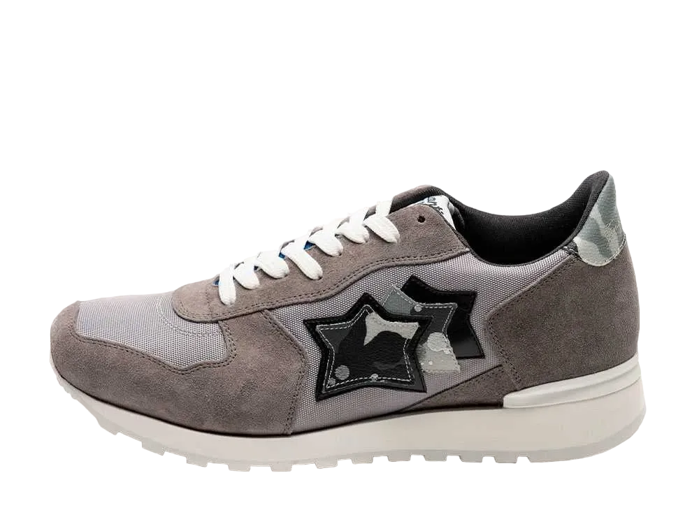 Cinque Stelle × Gentil Bandit × Atlantic STARS Antares GBN-NY-LBBB "Grey"