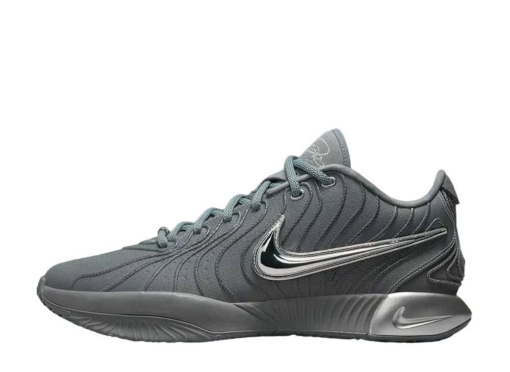 Nike LeBron 21 "Cool Grey" (HF5353-001/HF5352-001)
