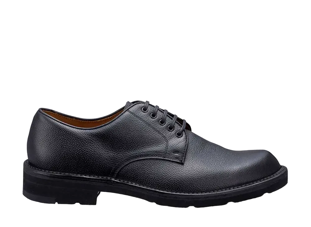REGAL Plain Toe Calf Leather "Black" 2509N EE