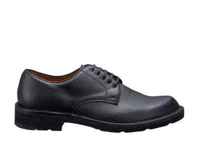 REGAL Plain Toe Calf Leather "Black" 2509N EE