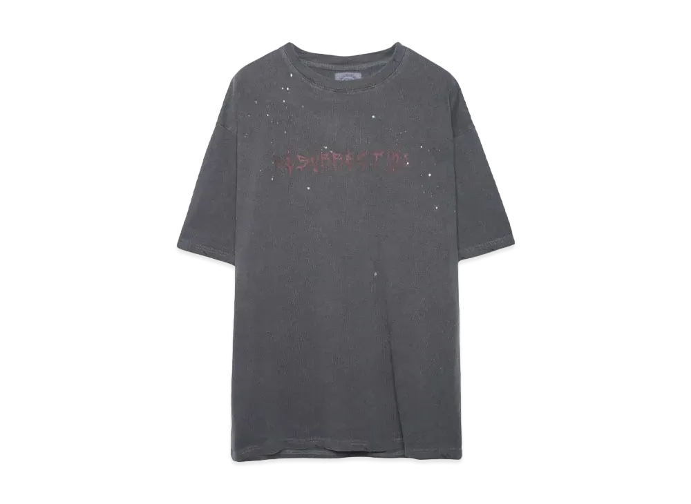 SOMEIT RESURRECTION VINTAGE TEE "STONE GREY"